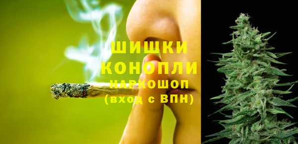 шишки Балахна