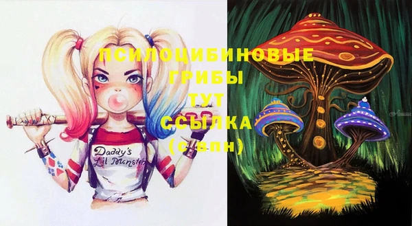 Альфа ПВП Балабаново